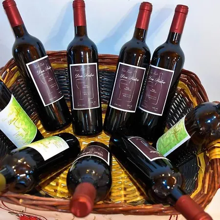 Hébergement de vacances Charming House In Icod De Vinos With Garden 70 M²