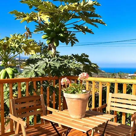 Charming House In Icod De Vinos With Garden 70 M² Hébergement de vacances Icod De Los Vinos