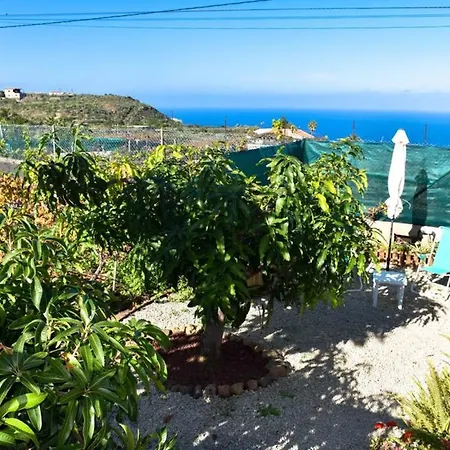 Charming House With Sea View Icod De Vinos Bbq Σπίτι διακοπών