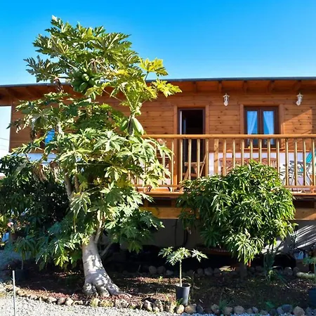 Charming House In Icod De Vinos With Garden 70 M² Icod De Los Vinos