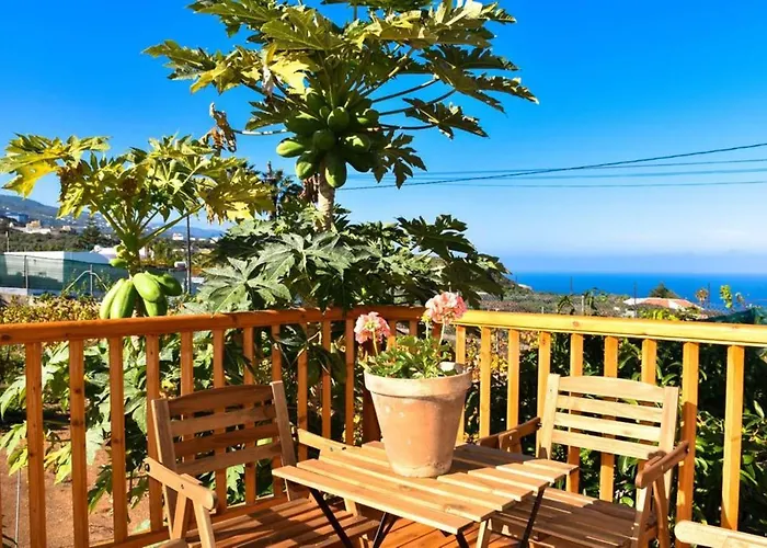 Charming House In Icod De Vinos With Garden 70 M² 度假居 伊科德·德·洛斯·维诺斯